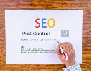 Why Does a Pest Control Business Need SEO Service